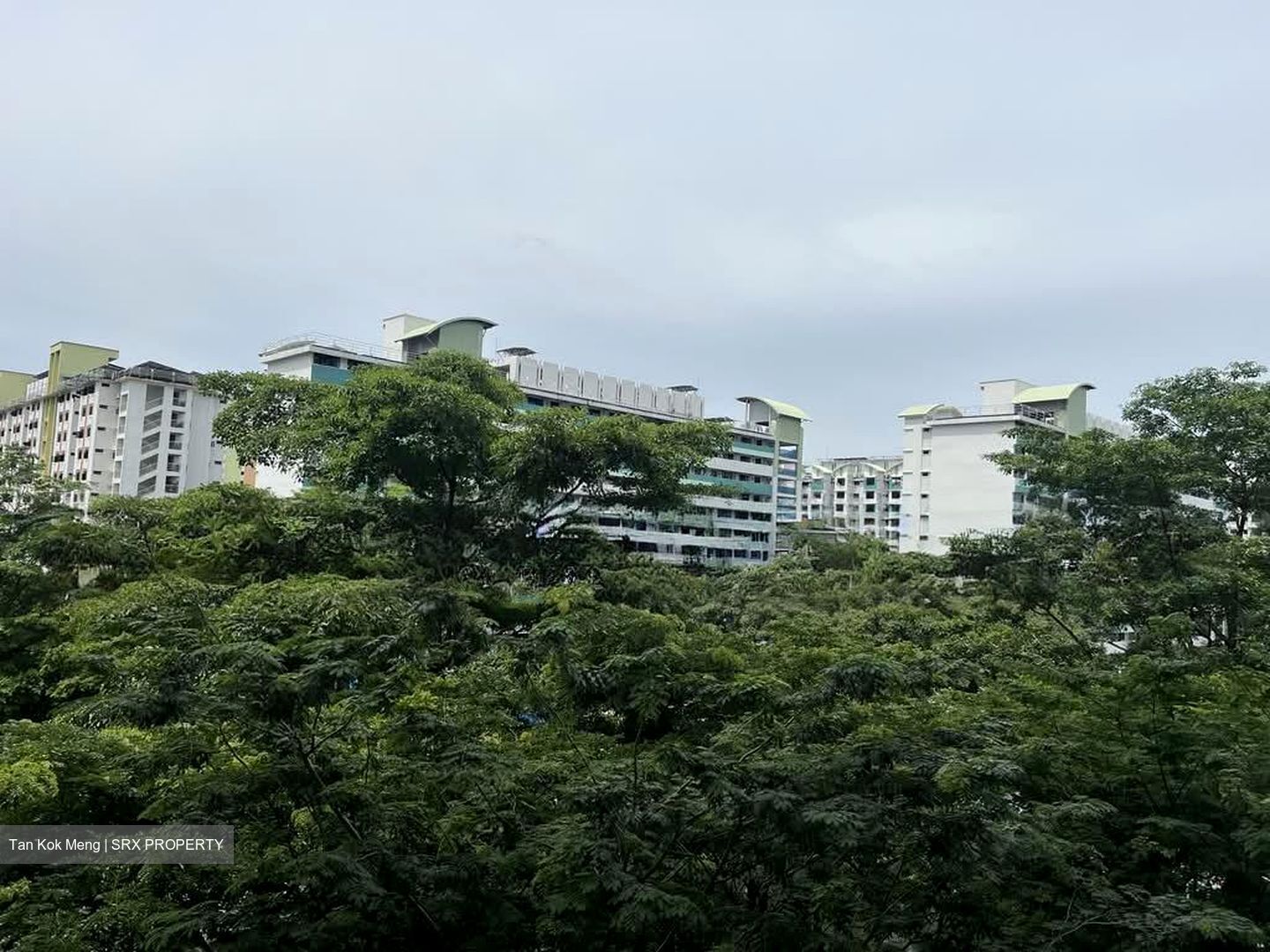 Blk 38C The River Vista @ Kallang (Kallang/Whampoa), HDB 3 Rooms #577796561